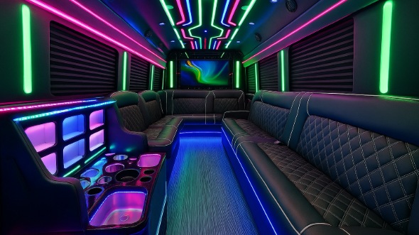 janesville 20 passenger party bus