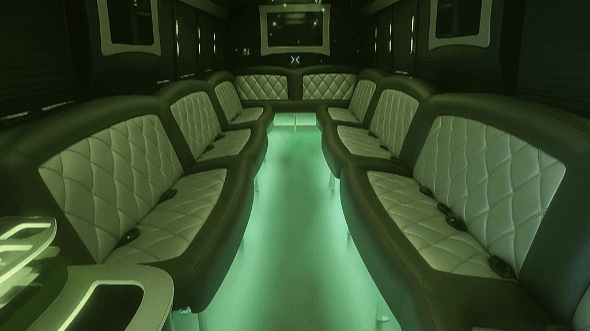 madison 20 passenger party bus inside