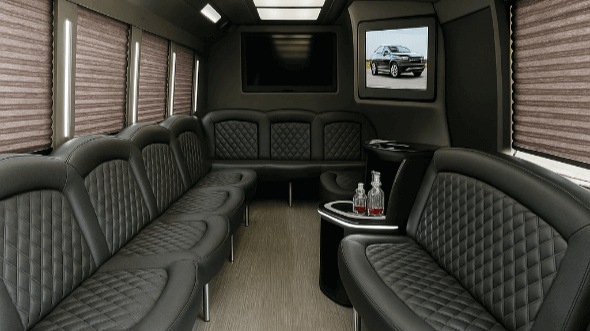 madison 28 passenger party bus rental
